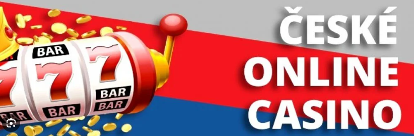 cz licence